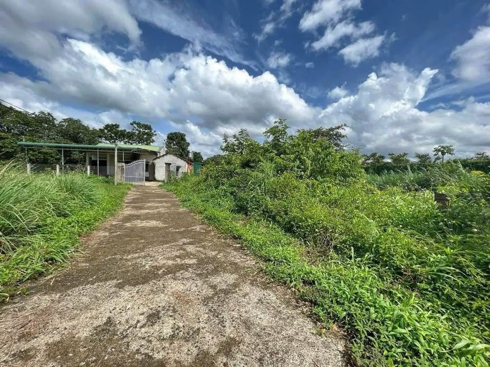 Đất sào Ea Kao, Buôn Ma Thuột 4300m² giá 1.95 tỷ - Đầu tư sinh lời ngay!