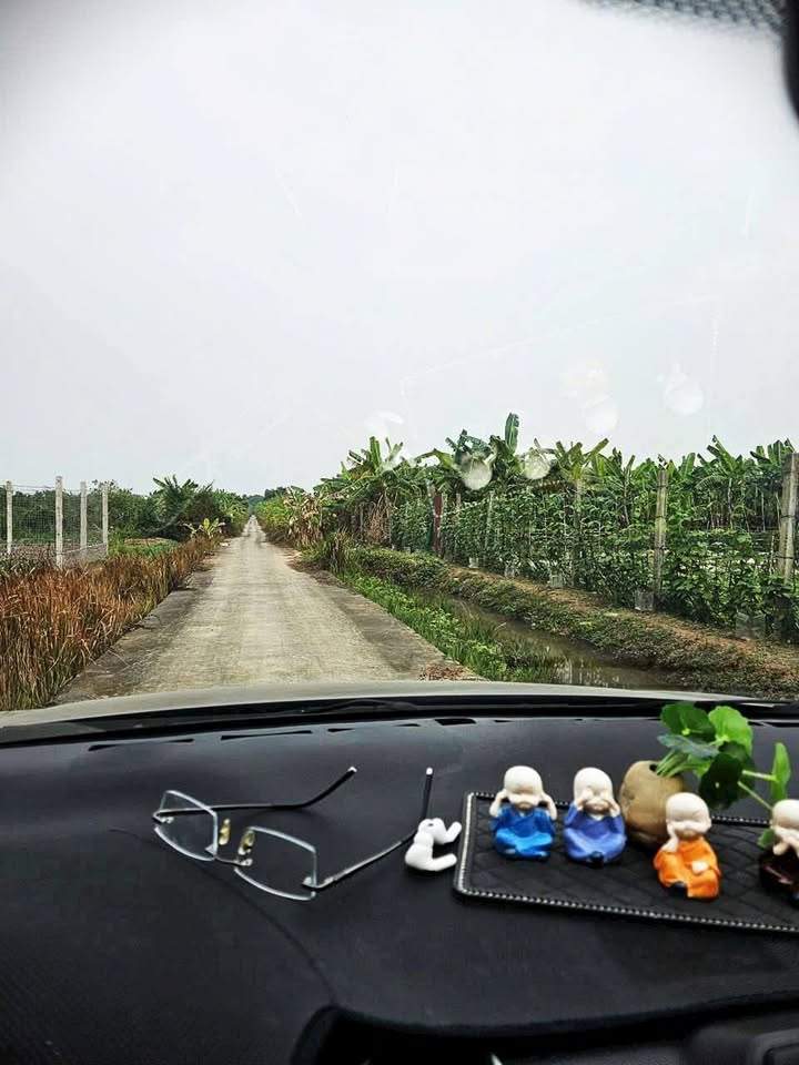 Đất vườn Làng Yên Mỹ, Thanh Trì, 540m² giá 1.89 tỷ - Đầu tư tiềm năng với pháp lý rõ ràng!