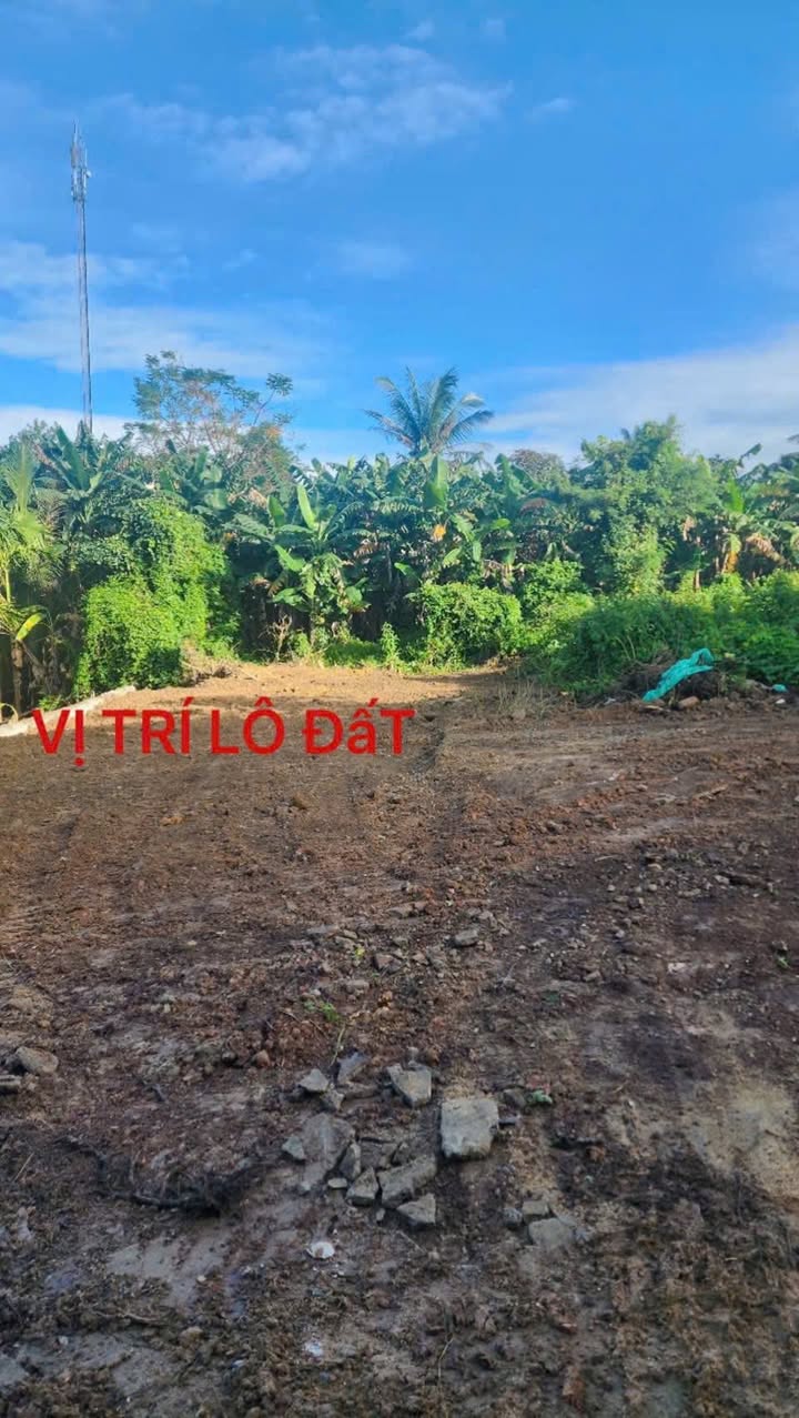 Đất nền Hòa Khánh Đà Nẵng 131m² giá 1.4 tỷ - Sổ hồng chính chủ, gần chợ và trường học!