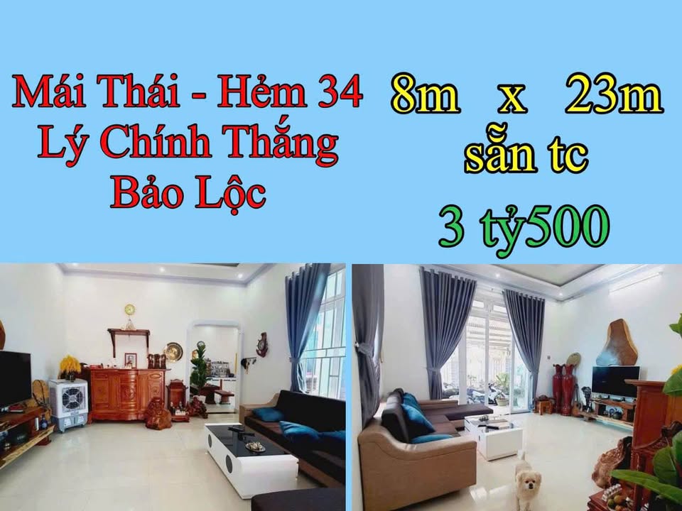 Nhà Mái Thái 184m² Hẻm Nhựa 34 Lý Chính Thắng - Đẹp, Ô Tô vào tận nơi!