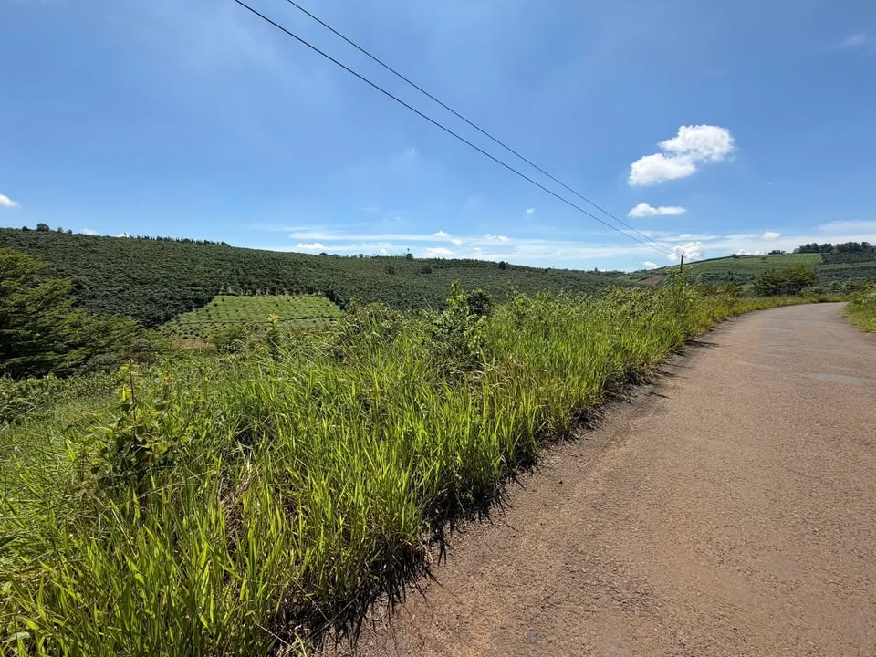 Đất nền Lộc Quảng 222m² giá 650 triệu - Sổ đỏ chính chủ, bớt lộc!