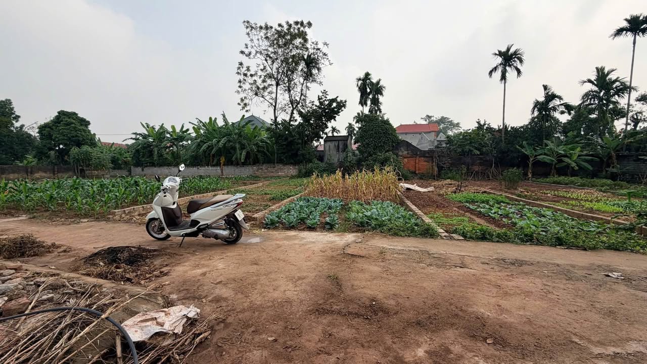 Đất nền Bột Xuyên, Mỹ Đức, Hà Nội 91m² giá chỉ 1 tỷ - Cơ hội đầu tư sinh lời!