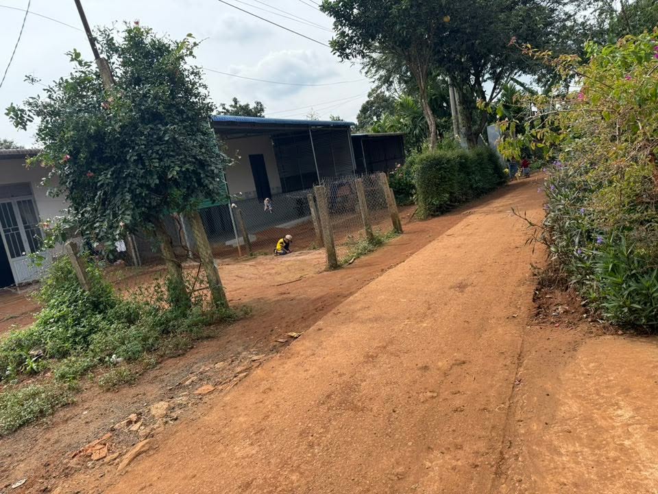 Đất nền Ea Yoong, Krông Pắc 230m² - Cơ hội đầu tư vàng!