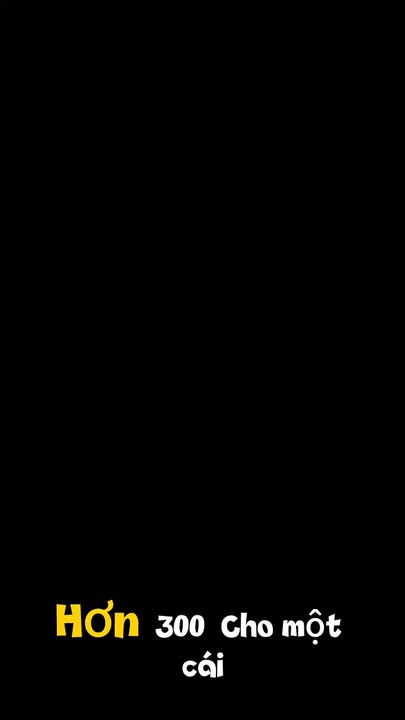 Đất nền Thọ Tân 140m² giá thỏa thuận - Sổ đỏ chính chủ, đầu tư sinh lời!