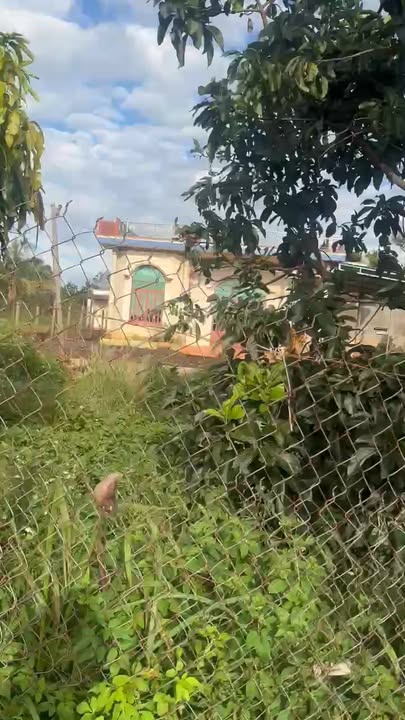 Đất thổ cư 726.8m² tại xã Ea Wy chỉ 850 triệu - Nhà đẹp sân vườn rộng, vào ở ngay!