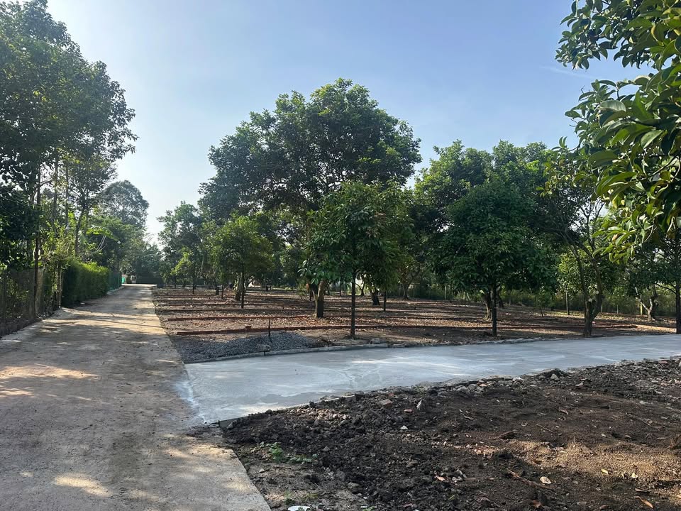 Đất nền Bảo Vinh, Long Khánh 145m² giá 779 triệu - Dân cư đông đúc, đầu tư sinh lời!