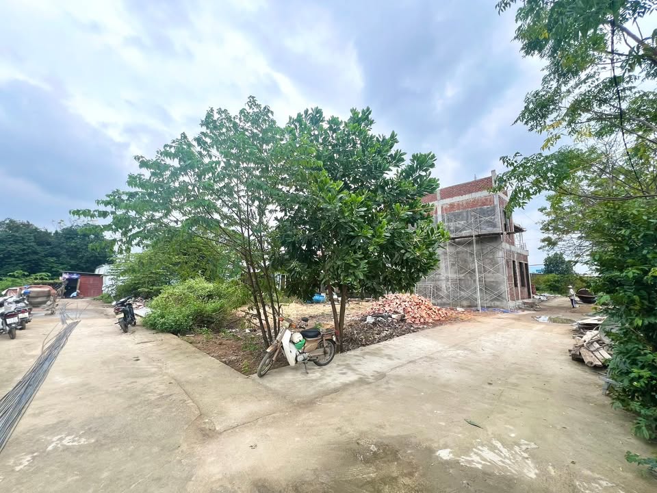 Đất nền Hòa Xuân Đà Nẵng 140,3m² giá 1,9 tỷ - Vị trí đắc địa gần chợ