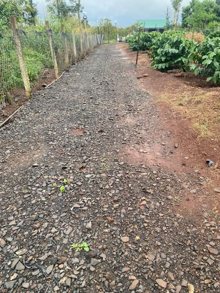 Đất thổ cư 360m² tại thôn 6, xã Ea Hiao, giá 1.5 tỷ - Đầu tư sinh lời ngay!