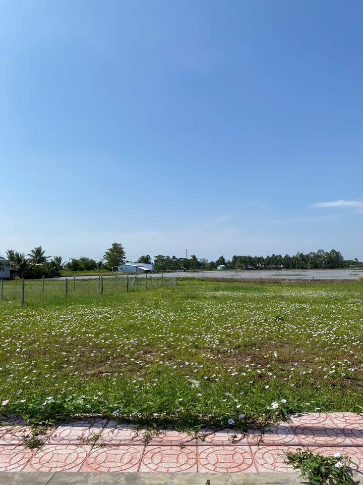 Đất nền Thạnh Lộc 200m² giá chỉ 655 triệu - Đầu tư sinh lời ngay!