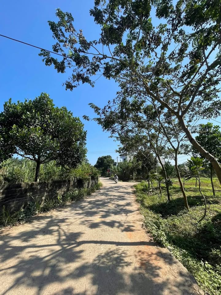 Đất nền Trung Môn, Yên Sơn 550m² giá 4 tỷ - Đầu tư sinh lời ngay!