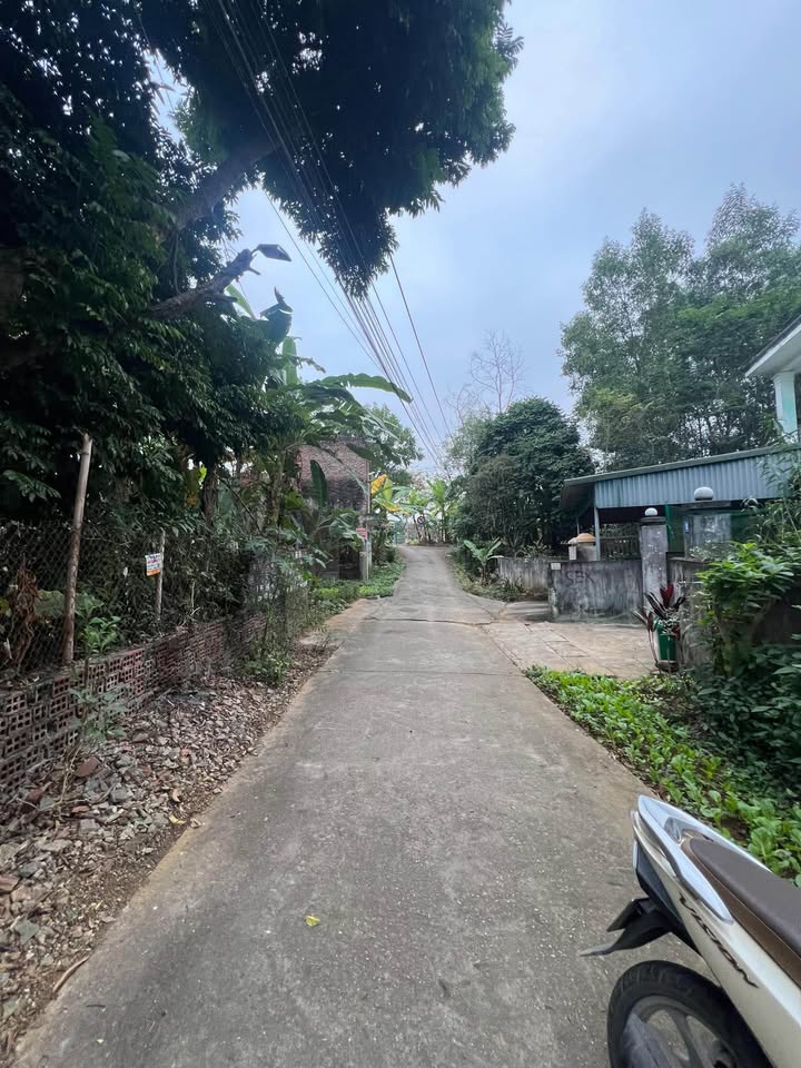 Lô đất 336m² tại phường An Tường, Tuyên Quang - Đường bê tông rộng, giá thỏa thuận!