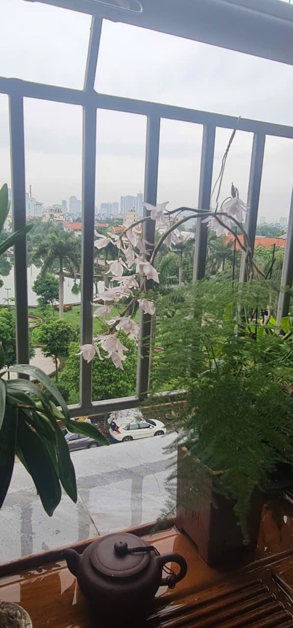 Căn hộ NC2 Cầu Bươu 78m² giá 5.57 tỷ - View hồ siêu đẹp, thiết kế linh hoạt!