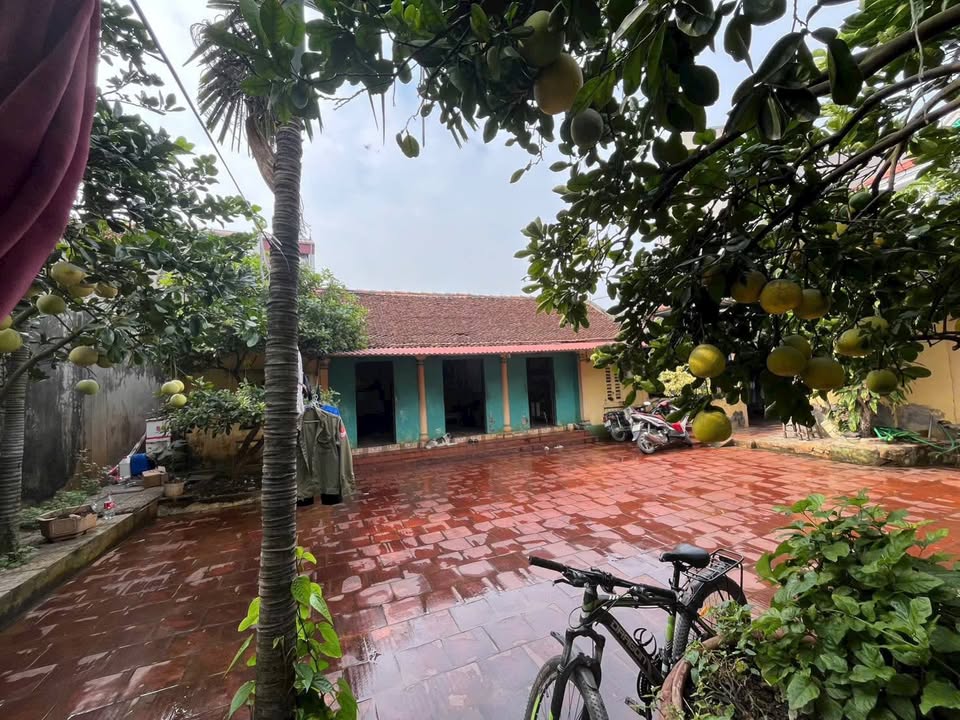 Bán đất Trà Lâm, phường Trí Quả, Thuận Thành 140m² - Vị trí đẹp, giá chỉ 3.5 tỷ!