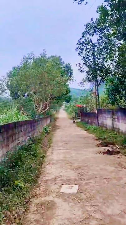 Đất nền Phú Nghĩa, Lạc Thủy 6500m² giá 6.5 tỷ - Cơ hội đầu tư hiếm có!