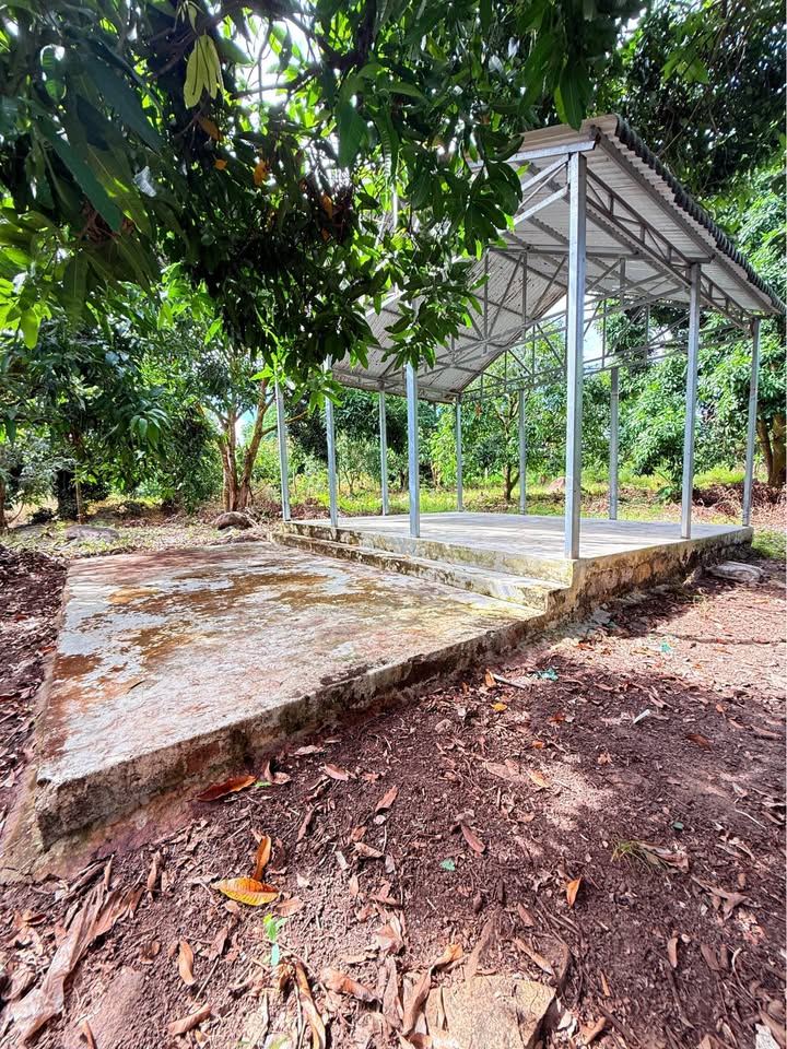 Đất vườn Diên Điền 9.543m² giá chỉ 1.59 tỷ - Cơ hội đầu tư tuyệt vời!