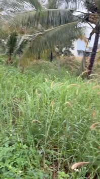 Đất Vành Đai Hồ Tây Đắk Mil 5720m² giá 5 tỷ - Hỗ trợ ngân hàng 2,5 tỷ!