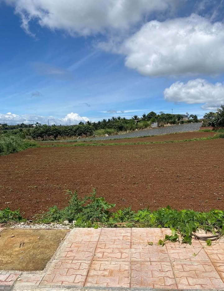 Nhà phố Đức Trọng 100m² giá 1.4 tỷ - Đầu tư sinh lời tại KCN Phú Hội!