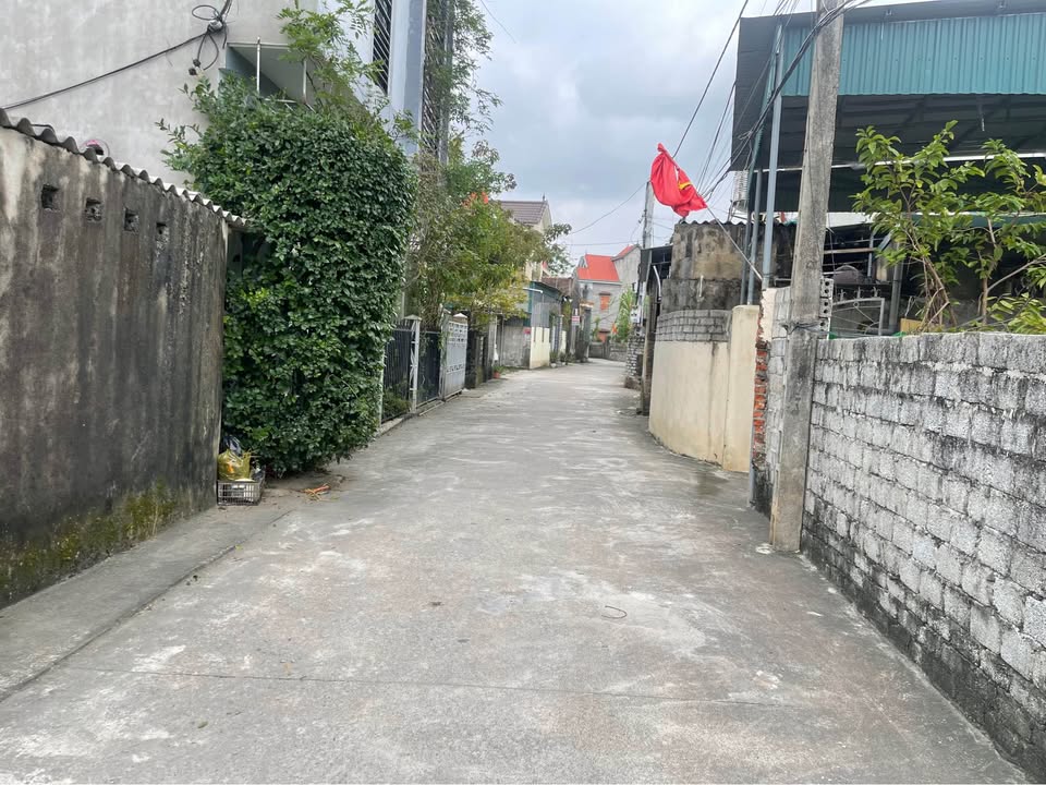 Đất nền Cầu Giát Quỳnh Lưu 282m² - Gần chợ Uỷ Ban, Thỏa thuận giá hấp dẫn!