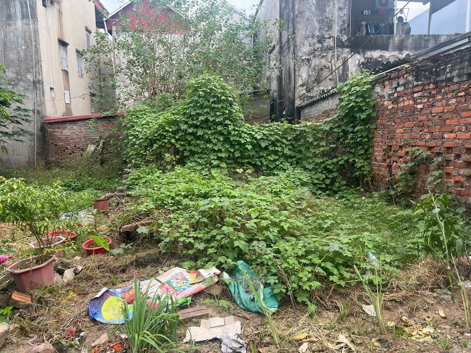 Đất nền Quang Tiến, Sóc Sơn 64m² giá 2 tỷ - Vị trí đắc địa, thuận tiện kinh doanh!