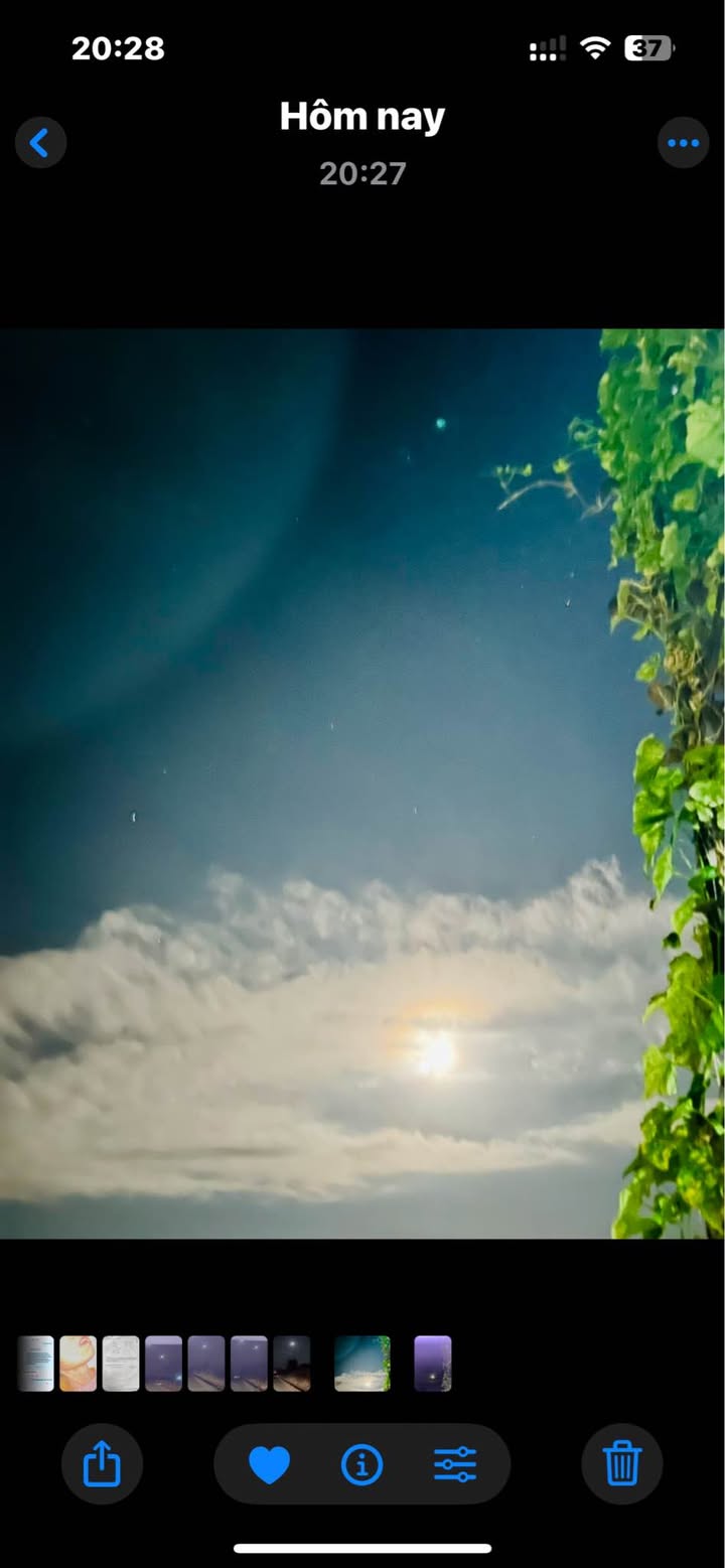 Đất nền Tân Hội Đức Trọng 7m² giá 640 triệu - Mặt tiền đường bê tông thông thoáng!