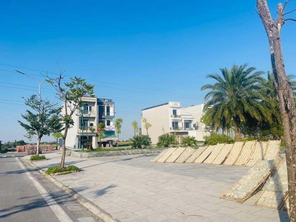 Đất nền Cẩm Vũ, Cẩm Giàng 81m², Mặt tiền 4.5m - Kinh doanh sầm uất ngay chợ!