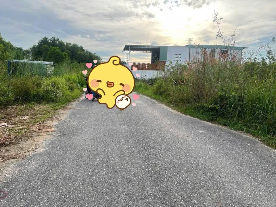 Đất nền Tân Phước Phú Mỹ 126m² giá chỉ 1.4 tỷ - Đầu tư sinh lời ngay!