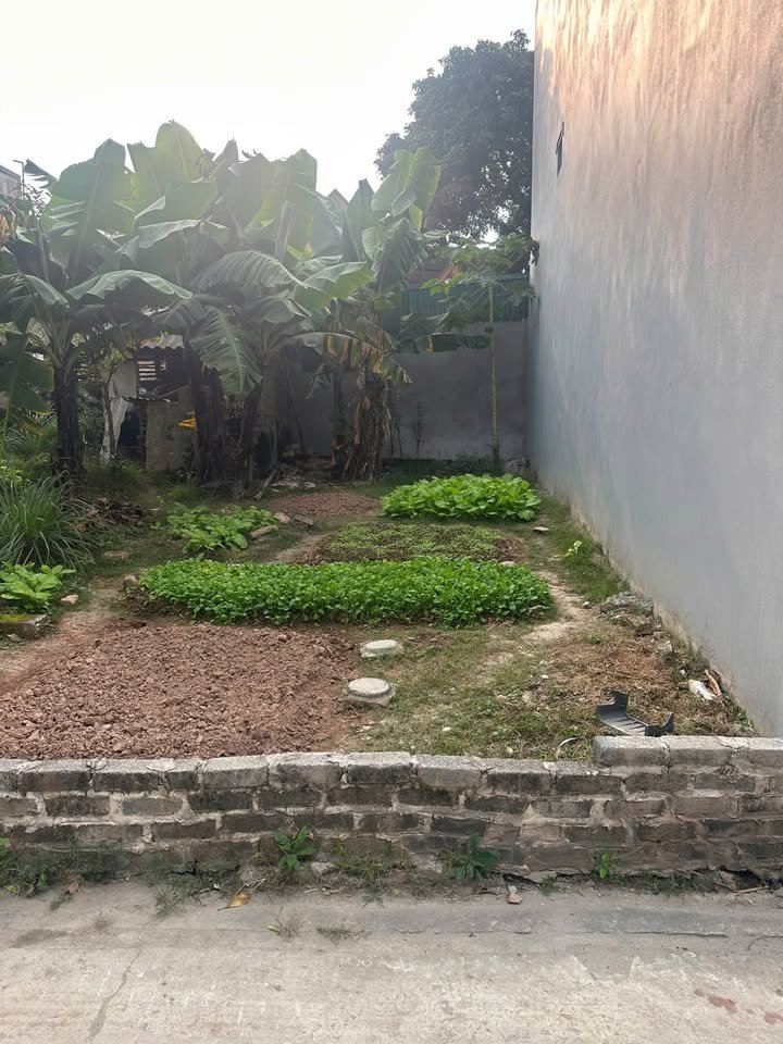 Đất nền Duy Hải 83m² giá thỏa thuận - Tiềm năng đầu tư cao!