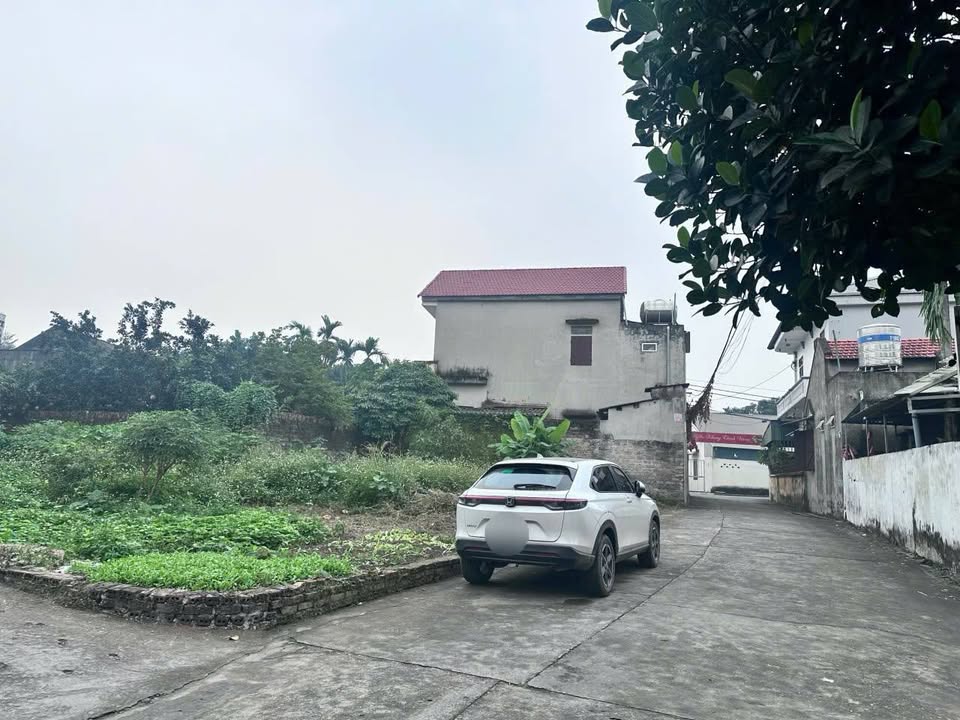 Đất bán tại phường Thanh Miếu, Việt Trì 50m² giá 1 tỷ - Đầu tư sinh lời hấp dẫn!