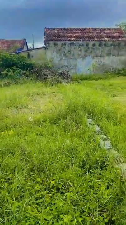 Đất nền 87.5m² tại Hoà Hiệp, Đắk Lắk giá chỉ 700 triệu - Đầu tư sinh lời ngay!