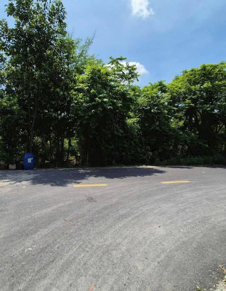 Đất mặt tiền đường Võ Thị Hết, Củ Chi 1590m² giá 7 tỷ - Đầu tư sinh lời hấp dẫn!