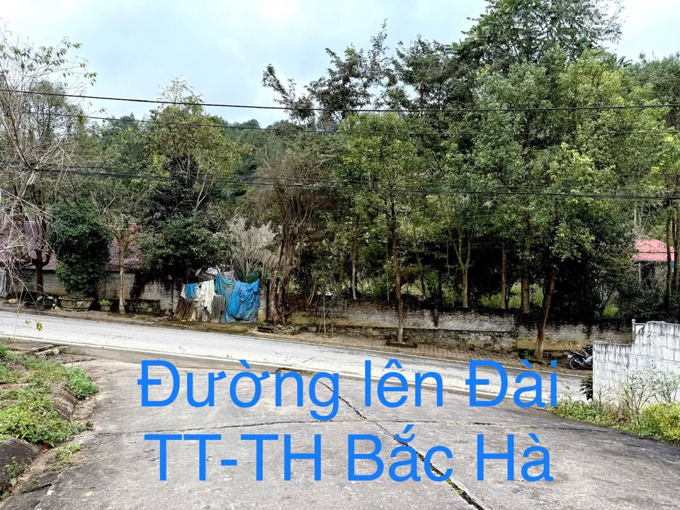 Đất nền phố Dìn Thàng Bắc Hà 660m² giá thỏa thuận - Đầu tư sinh lời!