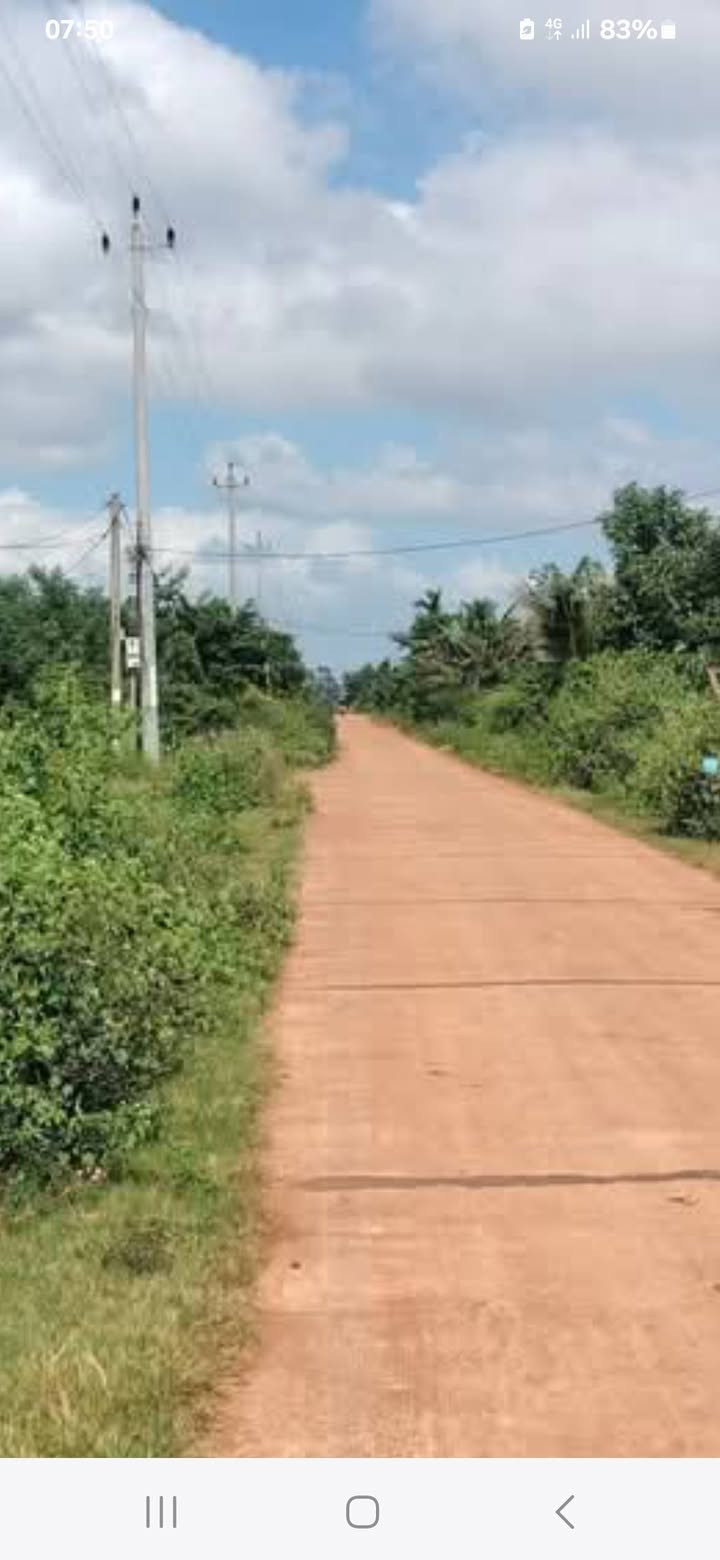 Lô đất nông nghiệp Hòa Khánh, Buôn Ma Thuột 1000m² chỉ 1.3 tỷ - Cơ hội đầu tư hấp dẫn!