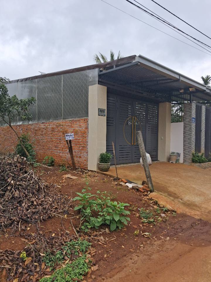 Đất nền mặt tiền đường D3 Buôn Ju 233m² giá 1.55 tỷ - Cơ hội đầu tư lý tưởng!