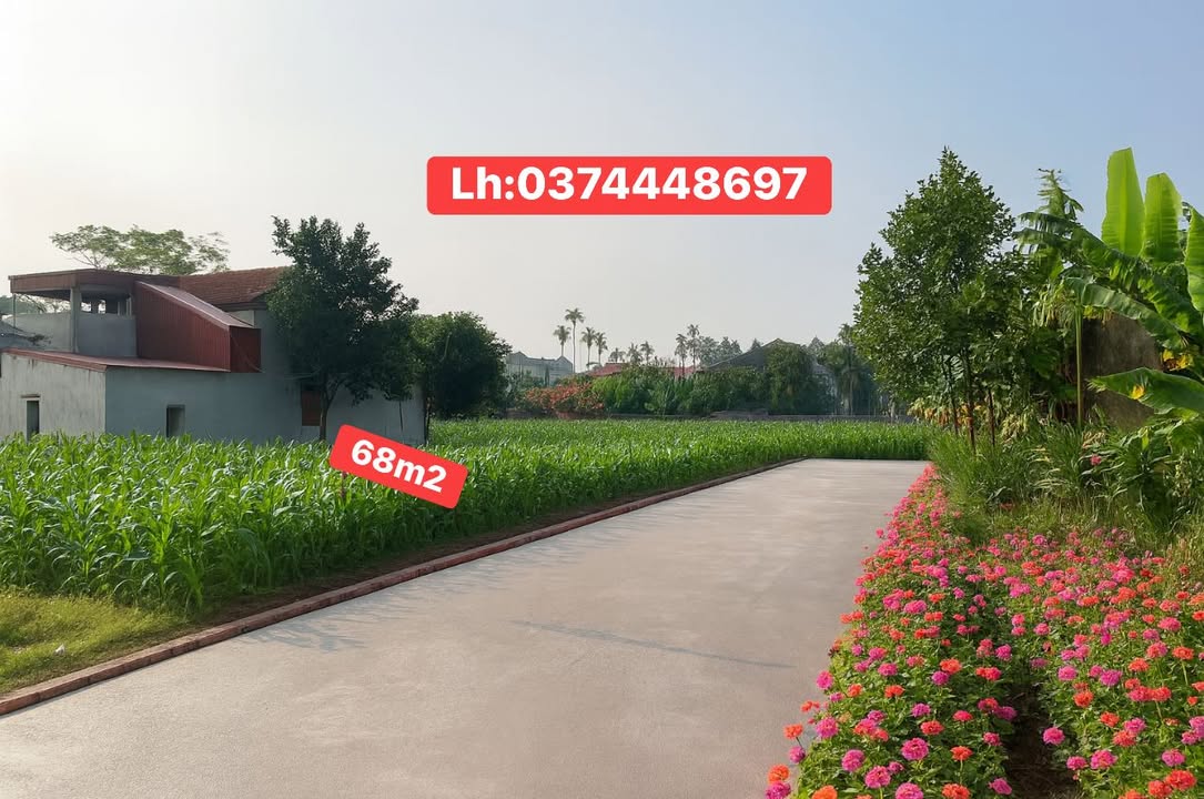 Đất nền Yên Nam Duy Tiên 68m² giá 900 triệu - Cơ hội đầu tư hấp dẫn!