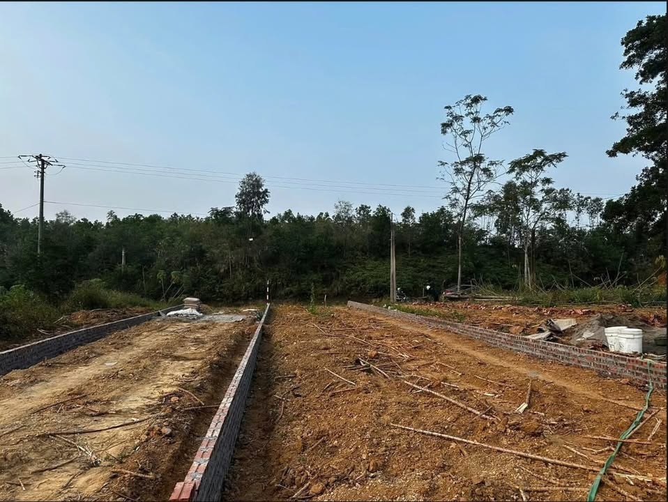 Đất nền Đào Xá, Thanh Thủy 216,6m² giá chỉ 800 triệu - Cơ hội đầu tư tuyệt vời!