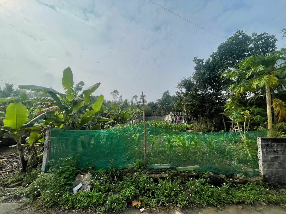 Đất nền Tu Vũ Thanh Thủy 150m² giá 1 tỷ - Cơ hội đầu tư tuyệt vời!