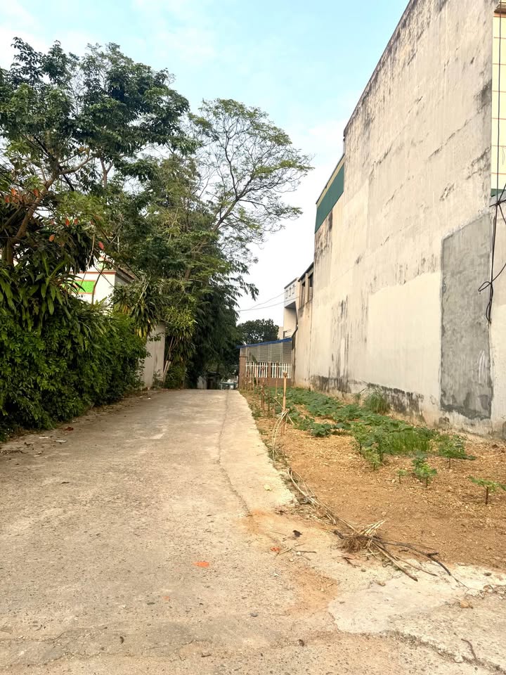 Đất nền Vân Phú, Việt Trì 80m² giá 1.1 tỷ - Vị trí đẹp, đầu tư sinh lời!