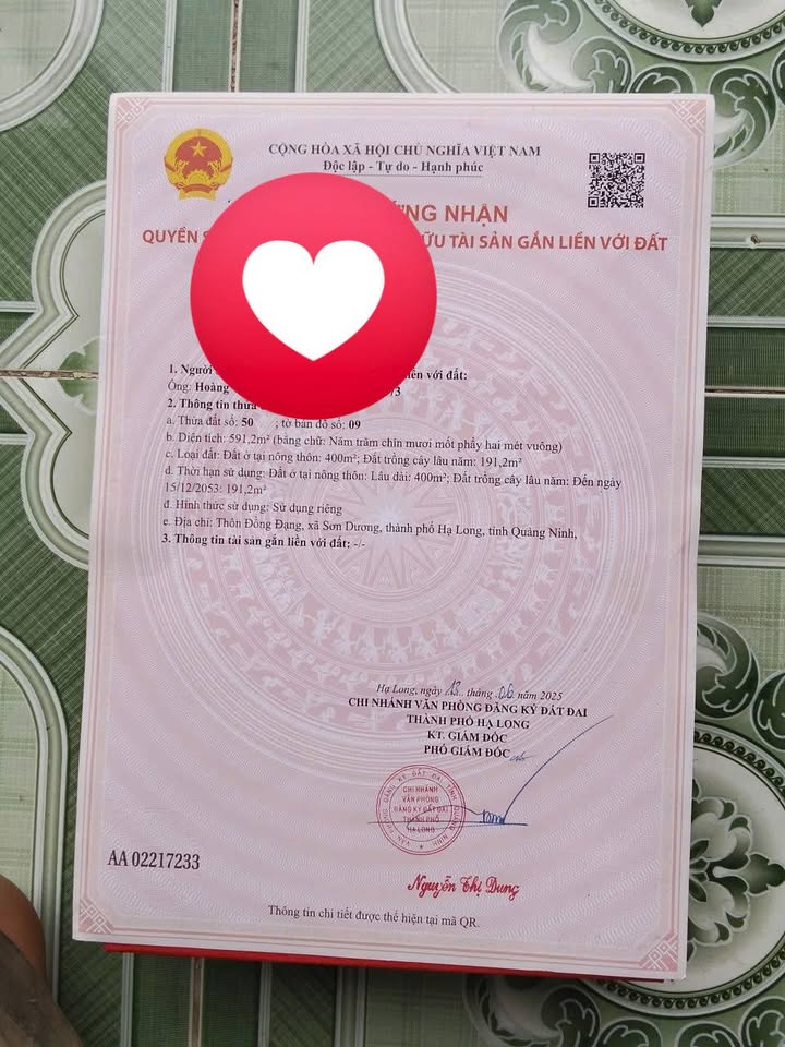 Đất thổ cư Hạ Long 600m² - Mặt tiền đường rộng, giá thỏa thuận!