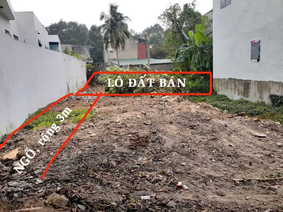 Đất nền Lê Thánh Tông, Đông Sơn 65m² giá 1.1 tỷ - Đầu tư sinh lời ngay!