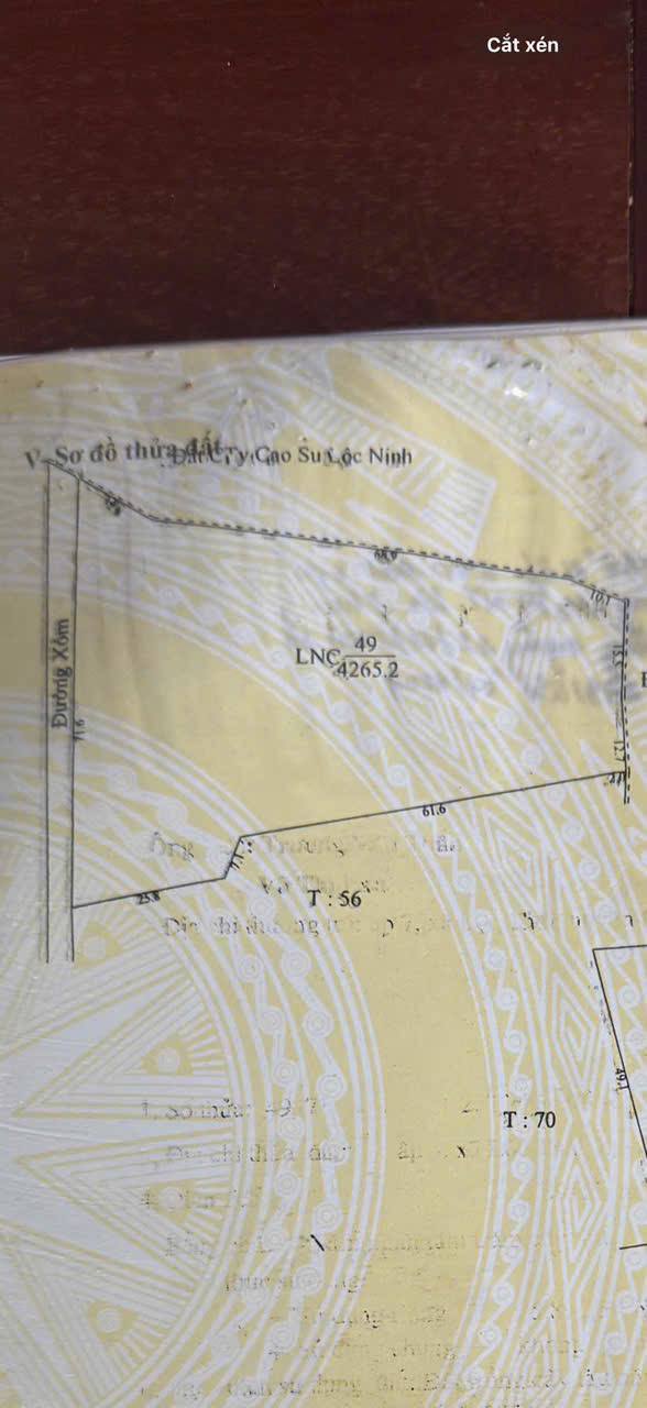 Đất nền ấp 5, xã Lộc Thái, huyện Lộc Ninh 4000m² giá 600 triệu - Cơ hội đầu tư hấp dẫn!