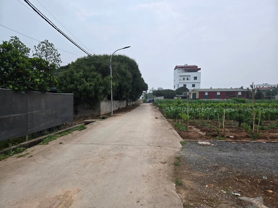 Đất vườn 336m² xã Song Phương Hoài Đức - Mặt đường lớn, giá đầu tư hợp lý!