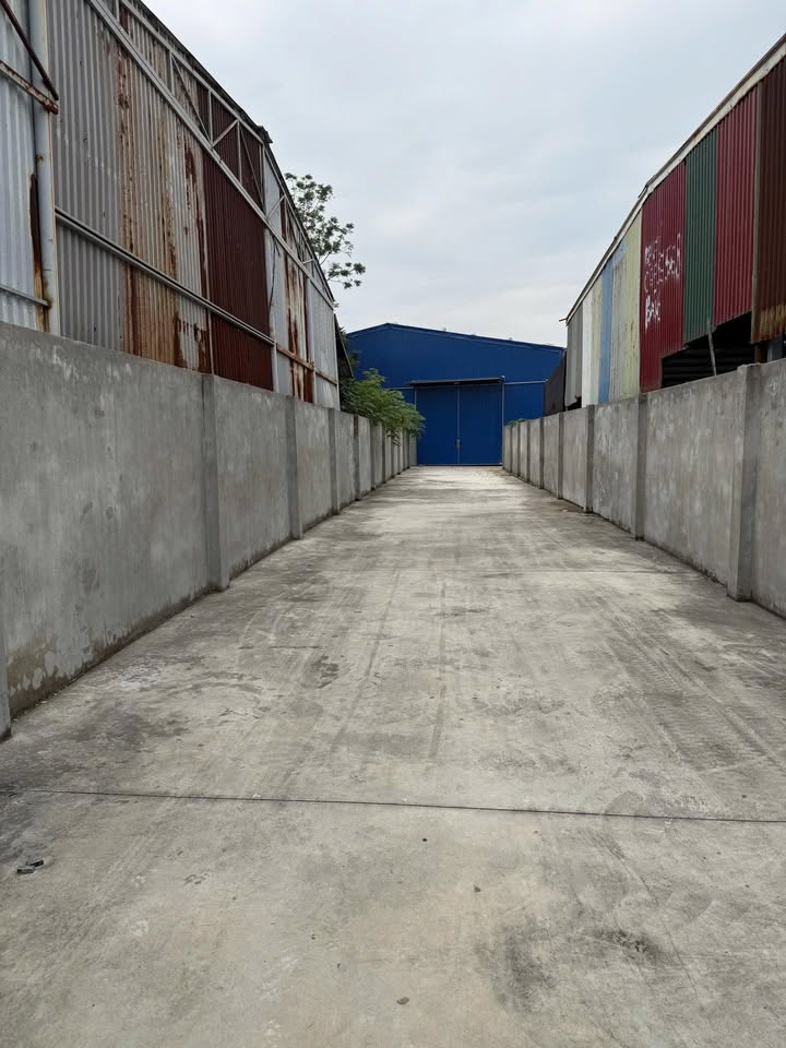 Cho thuê kho xưởng 512m² tại Đông Hải 2 - Giá chỉ 35 triệu/tháng!