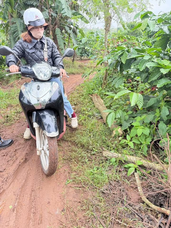 Đất thổ cư Phú Xuân 562m² giá 900 triệu - Đầu tư sinh lời ngay!