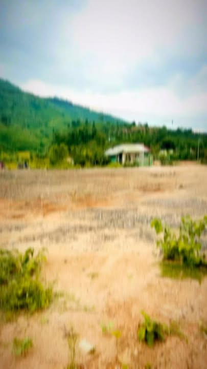 Bán đất Đam Rông 2650m² - View suối và ruộng lúa, giá thương lượng!