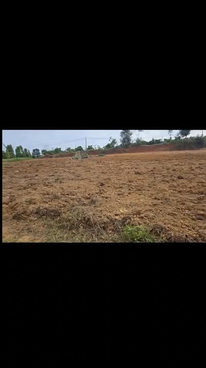 Đất nền 3000m² Đắk Gằn giá 1.19 tỷ - Góc 3 mặt đường thuận lợi kinh doanh!