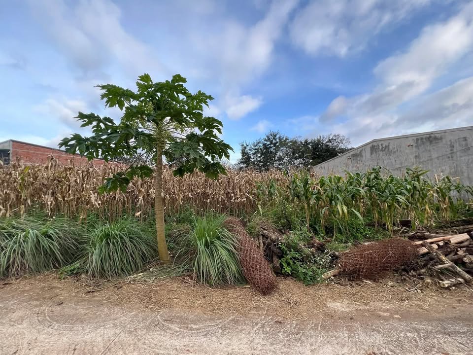 Đất thổ cư 180m² xã Ea Kao giá chỉ 400 triệu - Sổ hồng riêng chính chủ!