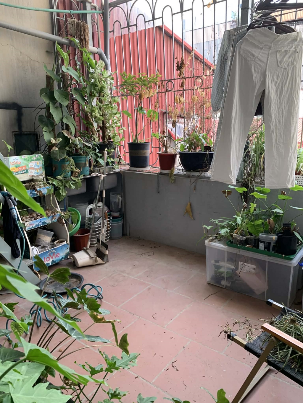 Nhà phố Hàng Quạt Hoàn Kiếm 20m² giá 8.6 tỷ - Kinh doanh sầm uất, thiết kế thoáng sáng!