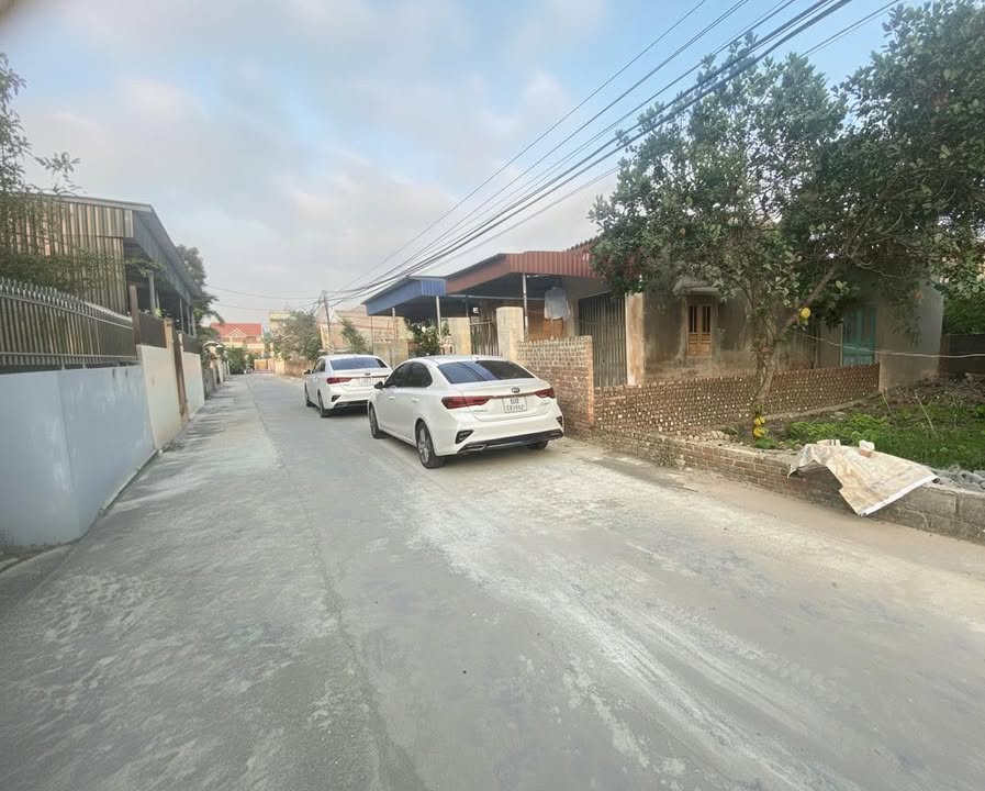 Đất nền Tân Viên An Lão 101m² giá 890 triệu - Đầu tư sinh lời nhanh chóng!