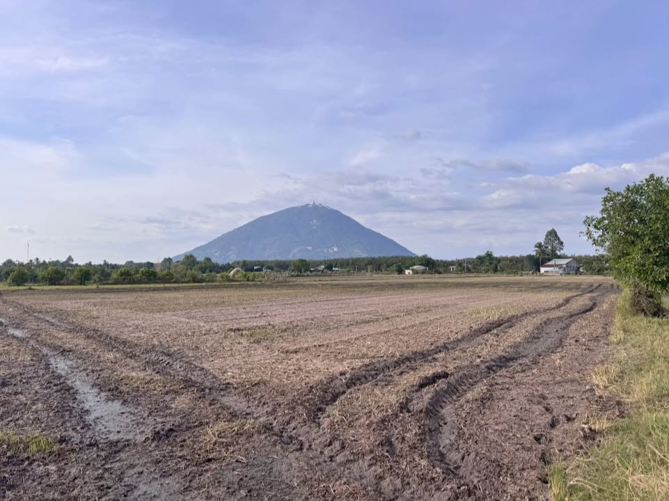 Đất nền chính chủ Xã Phan 145m² giá thỏa thuận - Cơ hội đầu tư tuyệt vời!