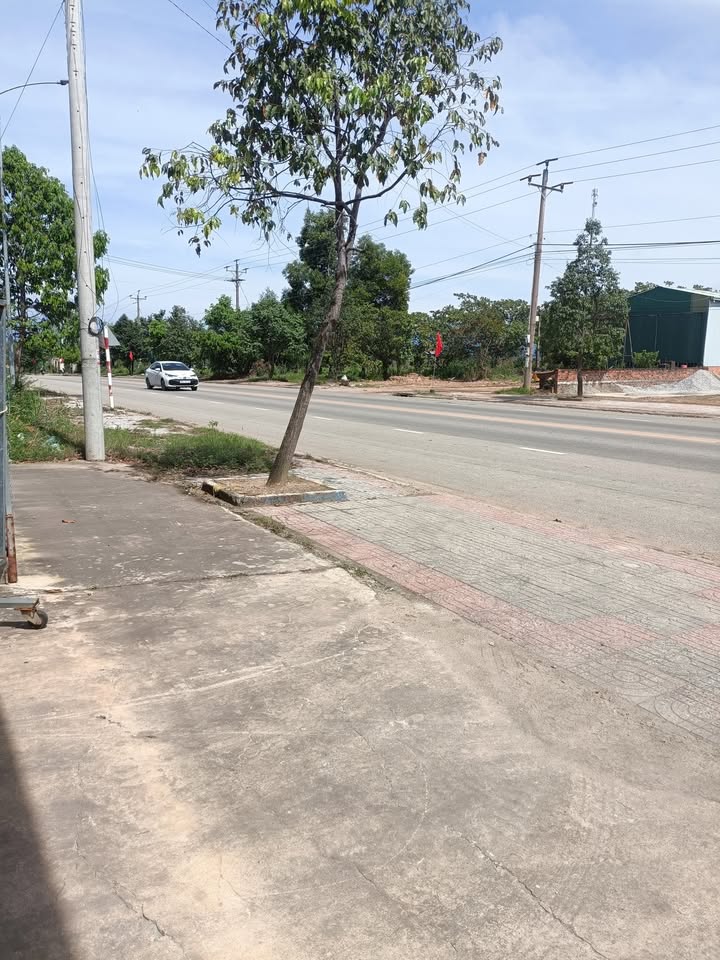 Đất mặt tiền QL55B, Tân Nghĩa, 5000m² giá 22 tỷ - Cơ hội đầu tư hấp dẫn!